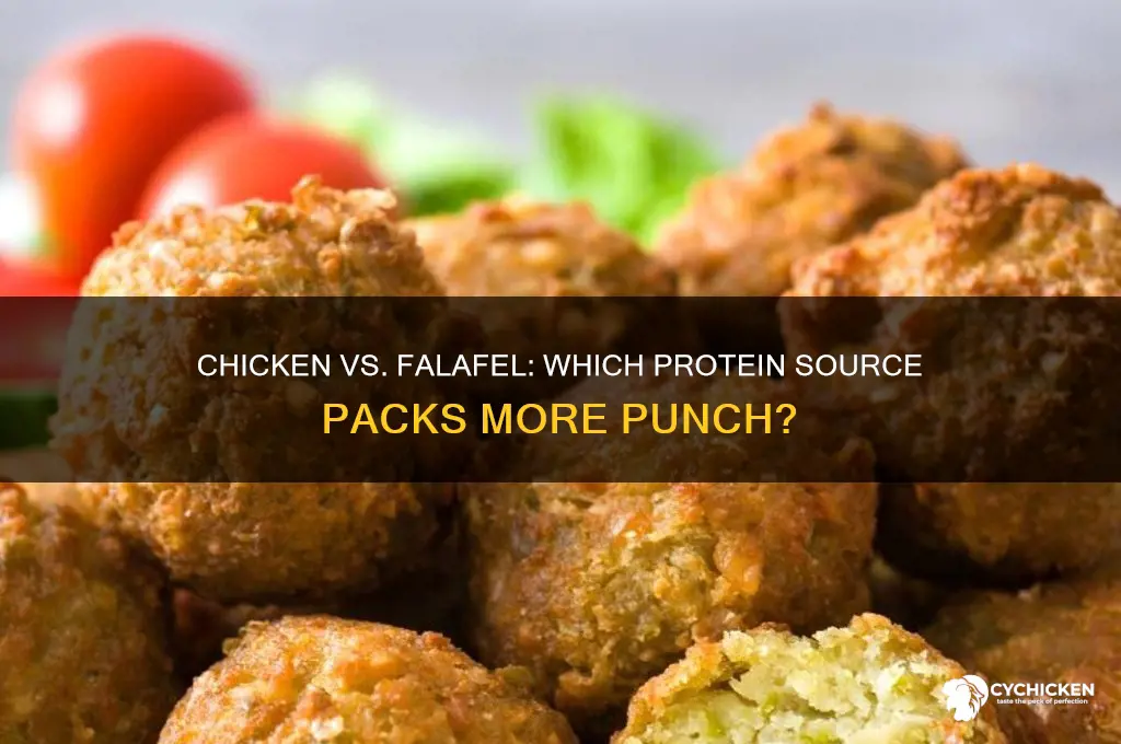 what has more protein chicken or falafel