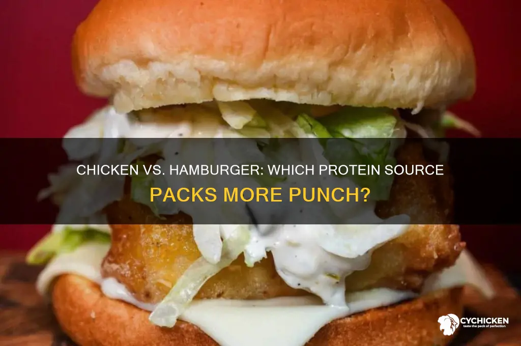 what has more protein chicken or hamburger