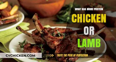 Chicken vs. Lamb: Which Protein Source Packs More Punch?