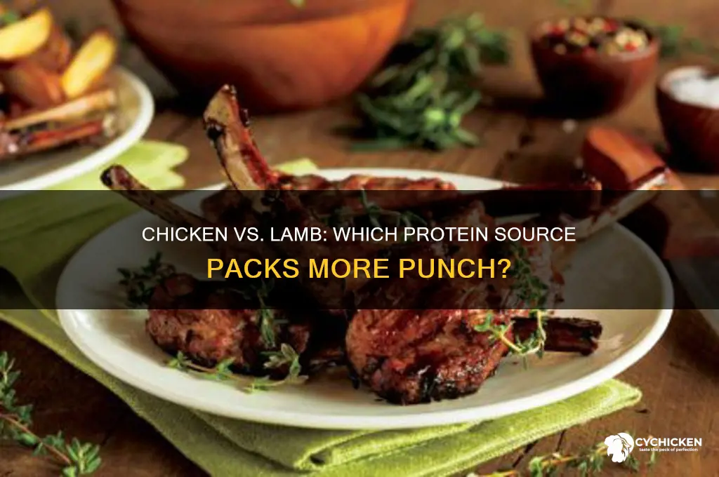 what has more protein chicken or lamb