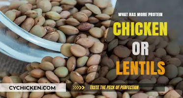 Chicken vs. Lentils: Which Protein Source Packs More Punch?