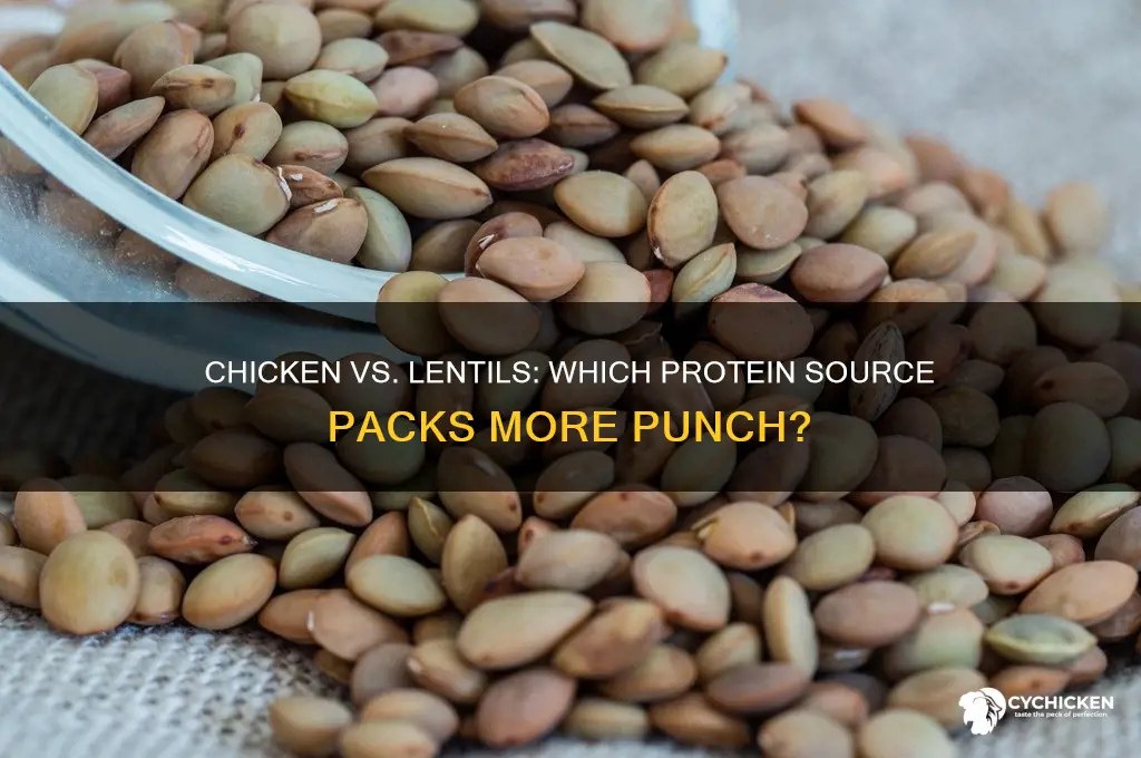 what has more protein chicken or lentils