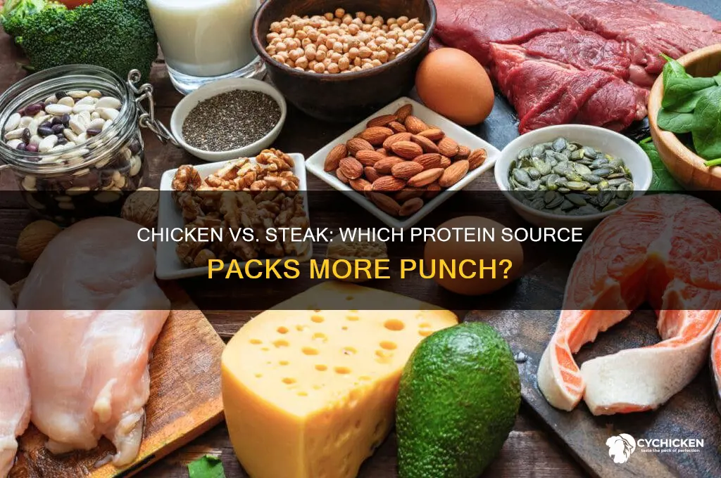 what has more protein chicken or stake