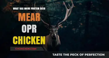 Deer Meat vs. Chicken: Which Protein Source Reigns Supreme?