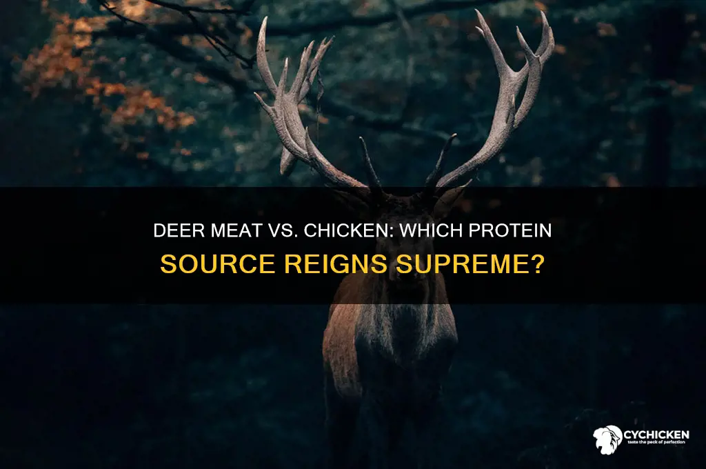 what has more protein deer mear opr chicken