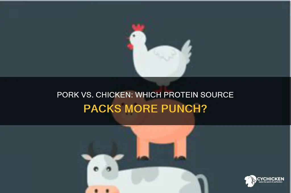 what has more protein pork or chicken