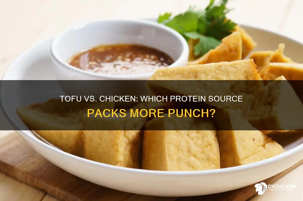 what has more protein tofu or chicken