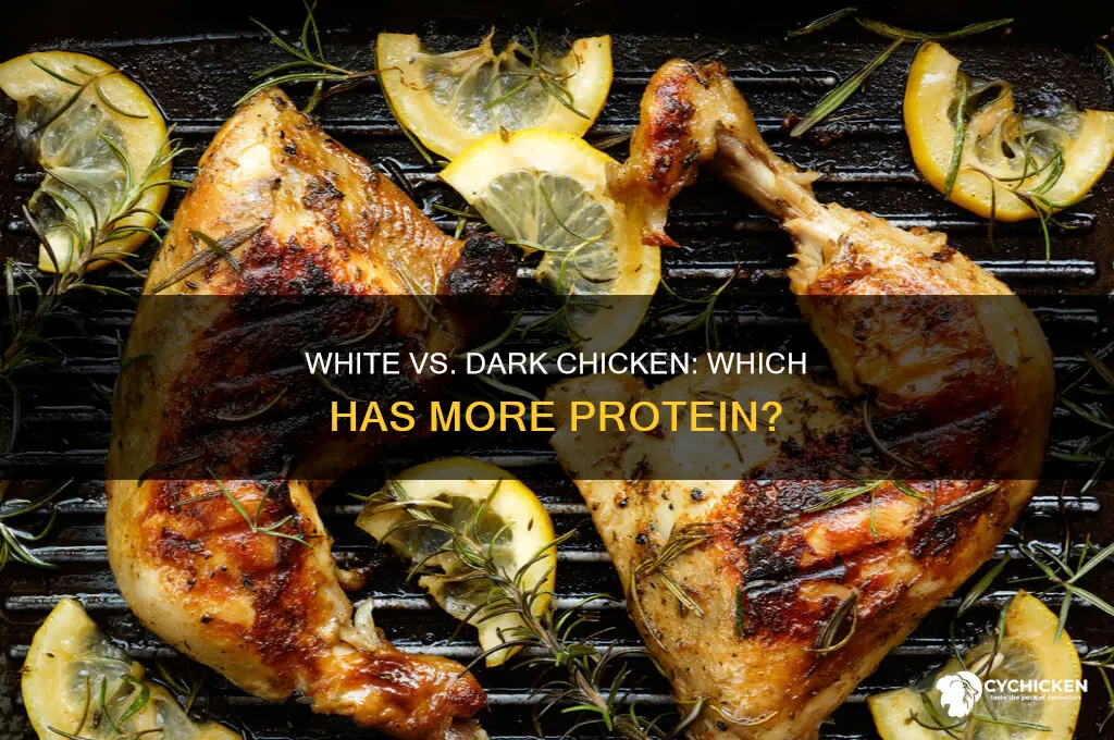 what has more protein white or dark chicken