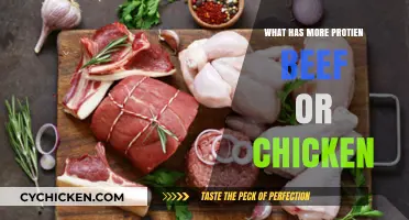 Beef vs. Chicken: Which Protein Source Packs More Punch?