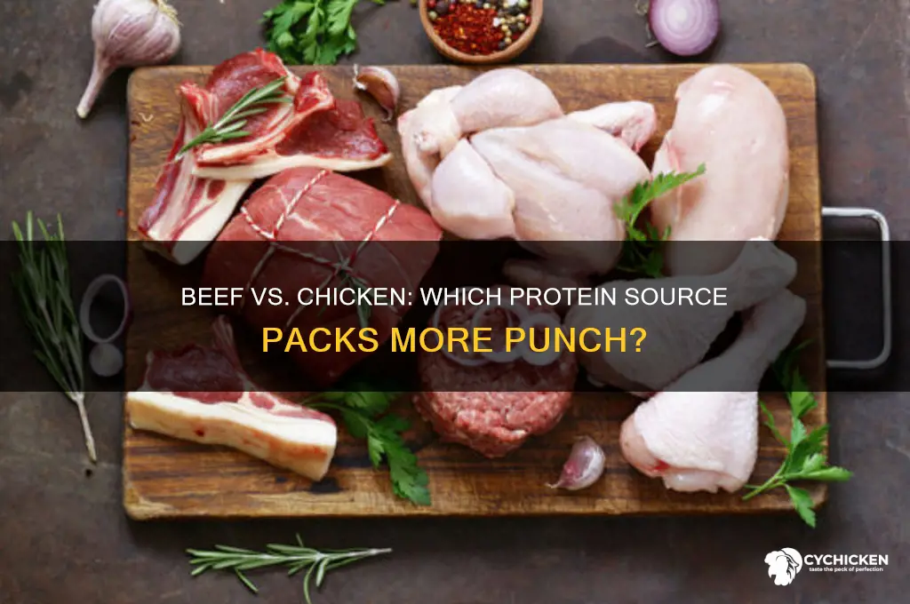 what has more protien beef or chicken