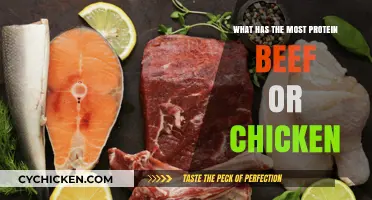 Beef vs. Chicken: Which Protein Source Packs More Punch?