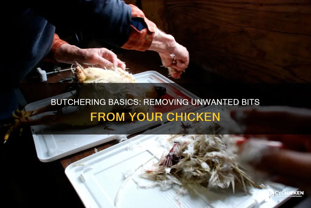 what has to be removed from a chicken while butchering
