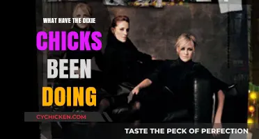 Dixie Chicks' Recent Journey: Music, Activism, and New Projects