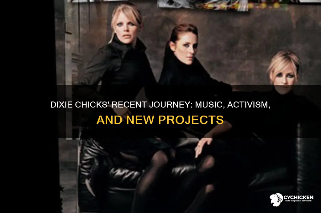 what have the dixie chicks been doing
