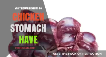 Unlocking the Surprising Health Benefits of Chicken Stomach
