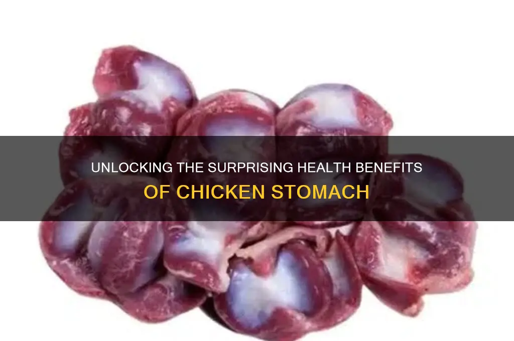 what health benefits do chicken stomach have