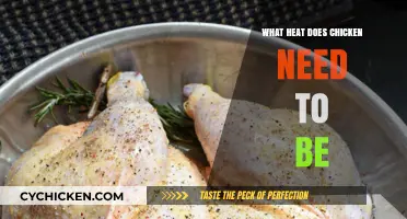 Perfect Chicken Temperature: Safe Cooking Heat for Juicy, Delicious Results