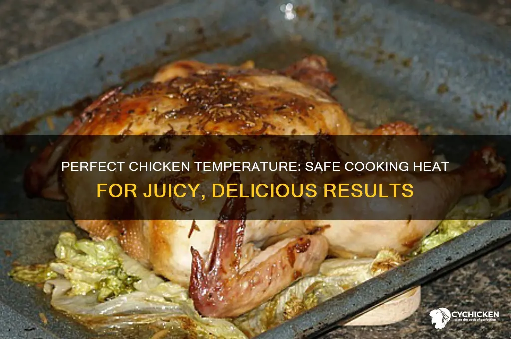 what heat does chicken need to be