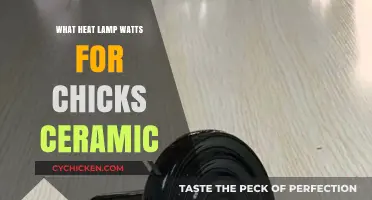 Choosing the Right Ceramic Heat Lamp Watts for Chicks
