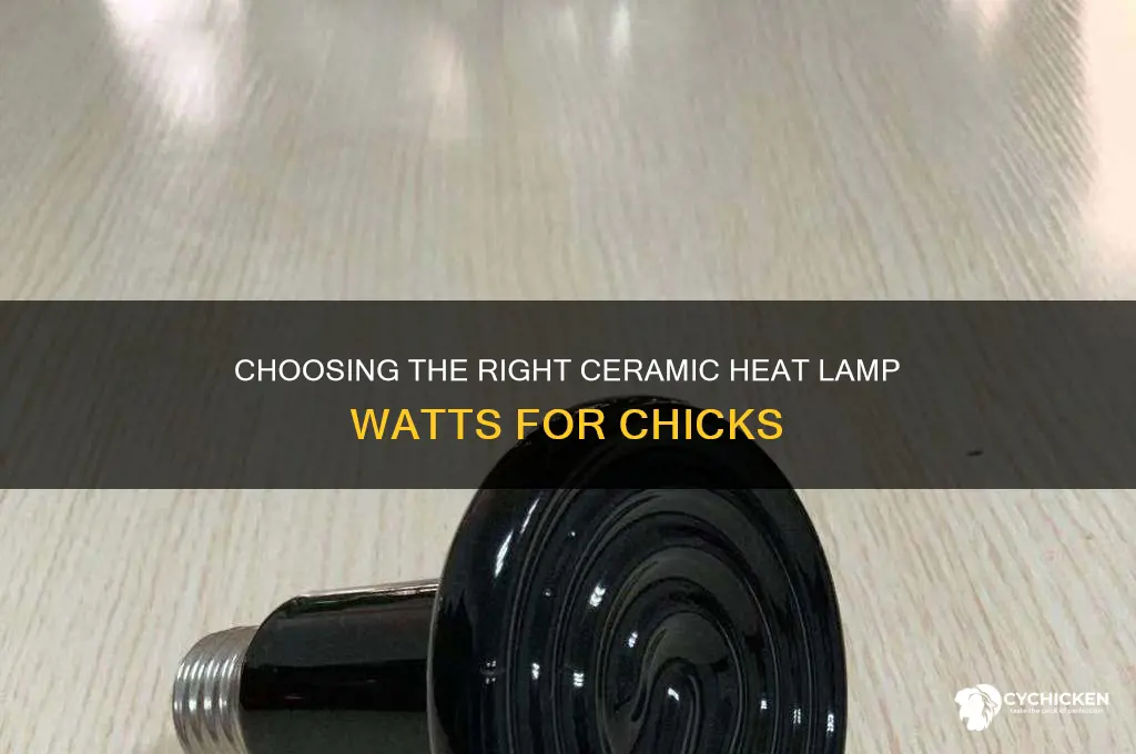 what heat lamp watts for chicks ceramic