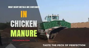 Heavy Metals in Chicken Manure: Uncovering Contaminants and Risks