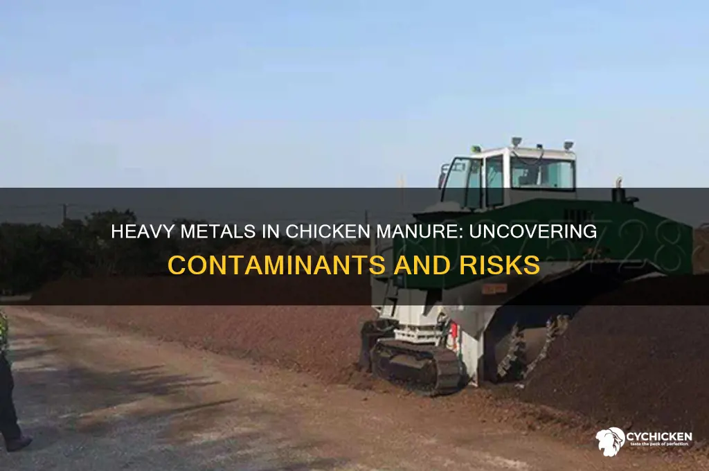 what heavy metals are contained in chicken manure