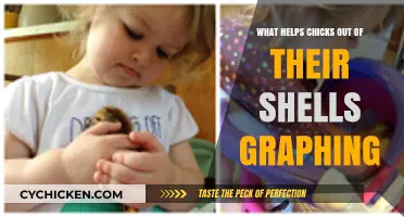 Graphing Techniques to Aid Chicks Hatching: A Visual Guide