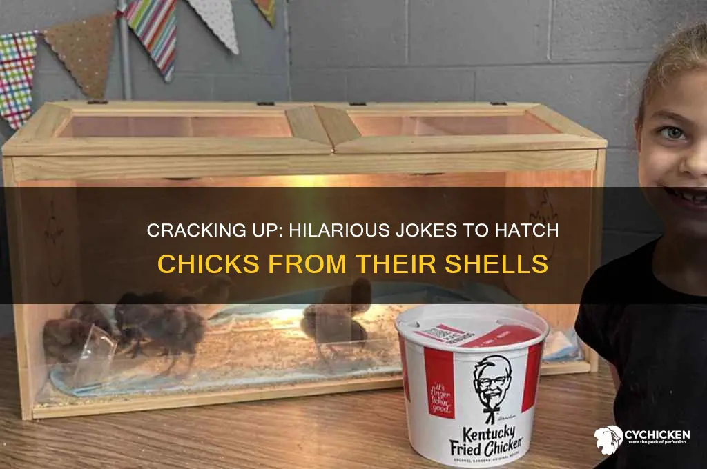 what helps chicks out of their shells joke