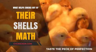 Cracking the Code: Math Strategies to Hatch Chicks Successfully