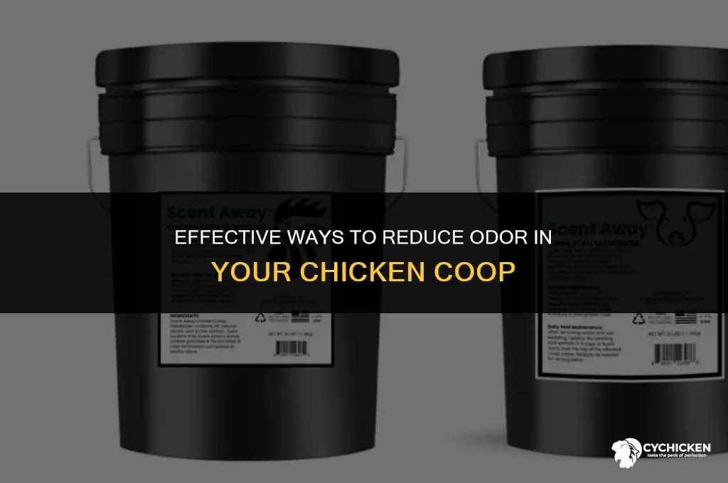 what helps cut the smell of a chicken coop down