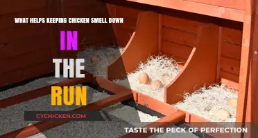 Keeping Chicken Coops Odor-Free: Tips and Tricks