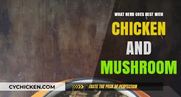 Perfect Pairing: Top Herbs to Elevate Chicken and Mushroom Dishes