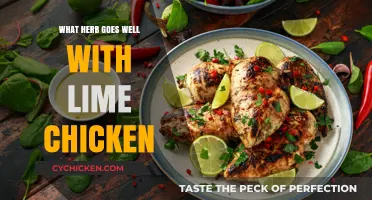 Enhance Your Lime Chicken with These Perfect Herbs and Spices