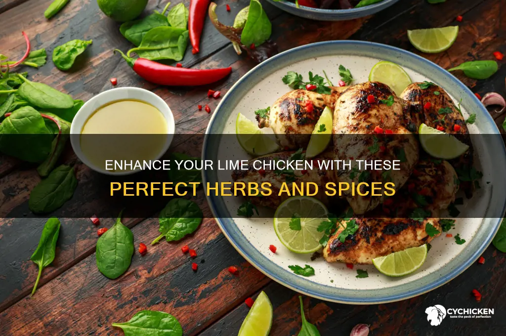 what herb goes well with lime chicken