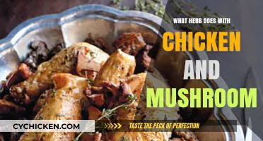 Perfect Herb Pairings for Chicken and Mushroom Dishes: A Flavor Guide