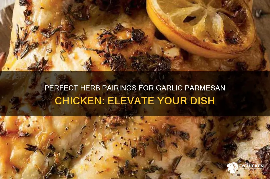what herb goes with garlic parmesan chicken