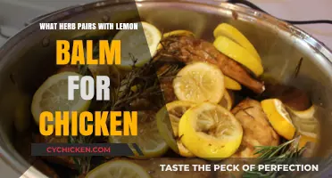 Enhance Chicken Dishes with Lemon Balm and Rosemary Herb Pairing