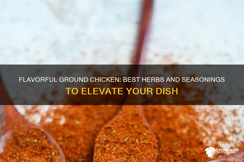 what herbs and seasoning for ground chicken