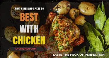 Perfect Pairings: Top Herbs and Spices to Elevate Your Chicken Dishes