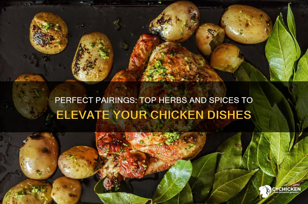 what herbs and spices go best with chicken
