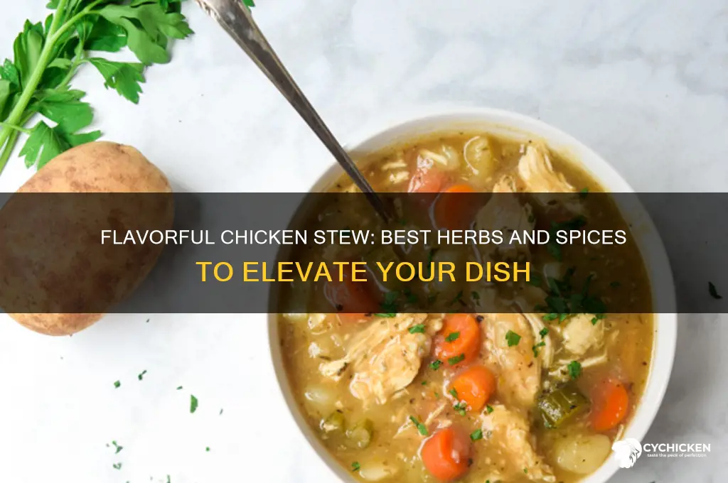 what herbs and spices go with chicken stew