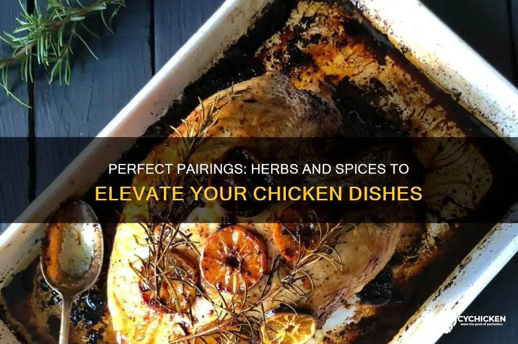 what herbs and spices go with chicken