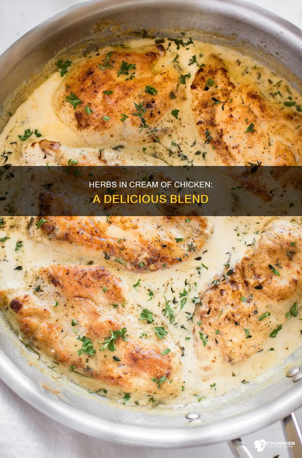what herbs are in cream of chicken with herbs