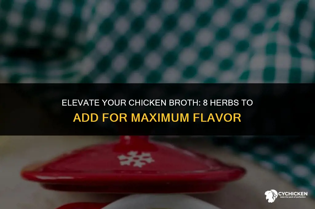 what herbs can you add while making chicken broth