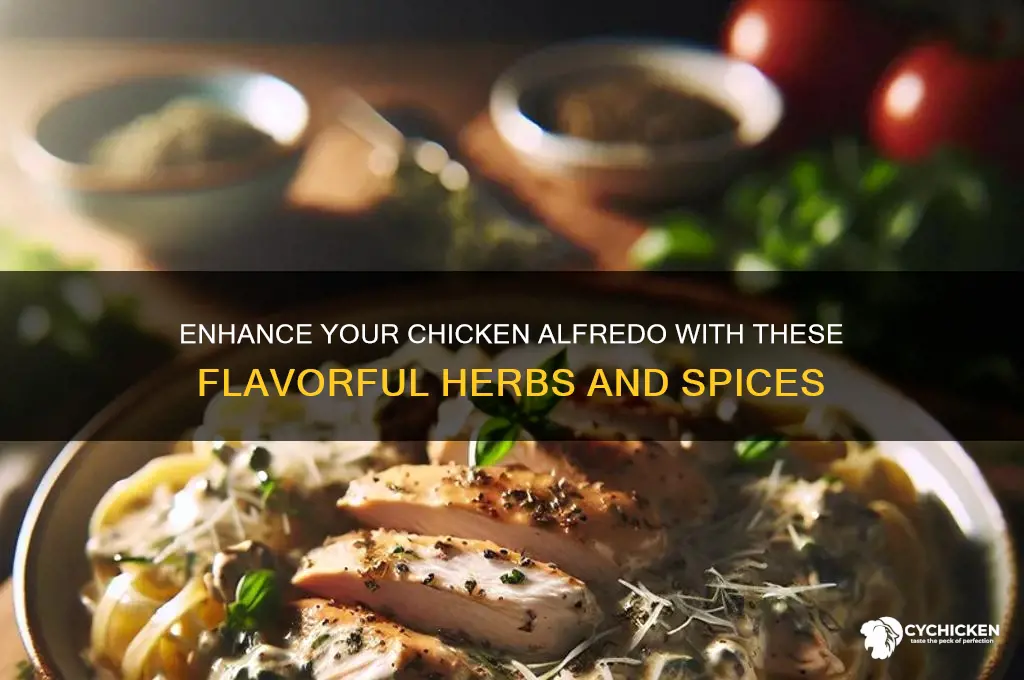 what herbs do u add to chicken alfredo