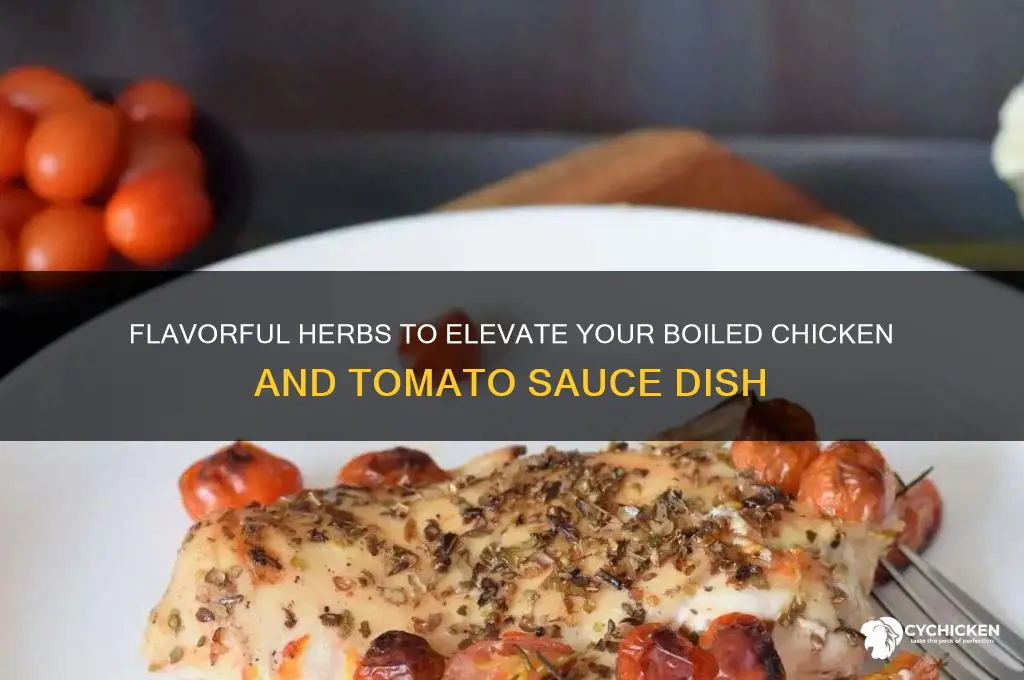 what herbs for boiled chicken and tomato sauce