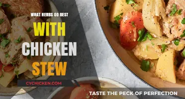Enhance Your Chicken Stew: Top Herbs for Flavorful Comfort Cooking