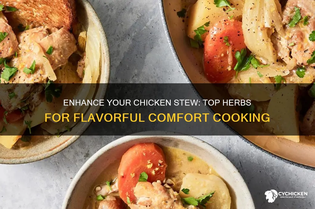 what herbs go best with chicken stew