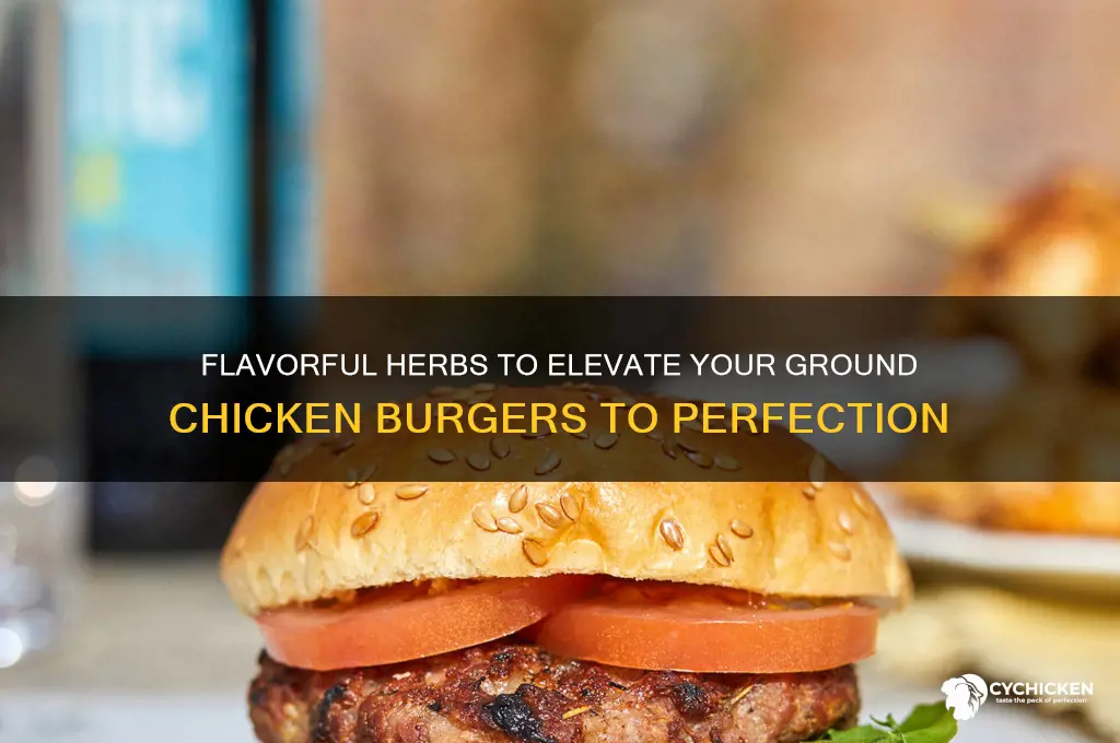 what herbs go best with ground chicken burgers