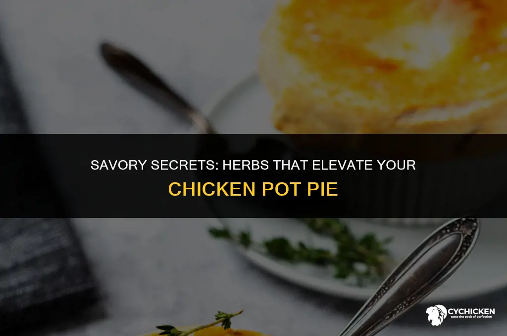 what herbs go in chicken pot pie